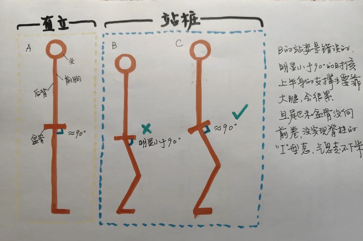 如何帮助篮球老将保持竞技状态_0